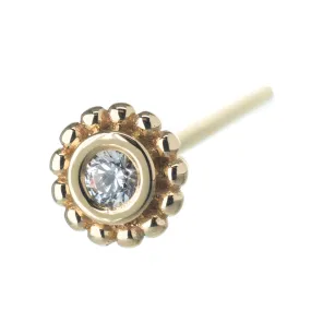 Beaded Raine Nostril Screw in Gold with White CZ