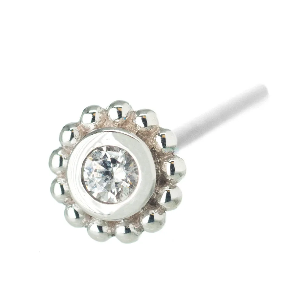 Beaded Raine Nostril Screw in Gold with White CZ