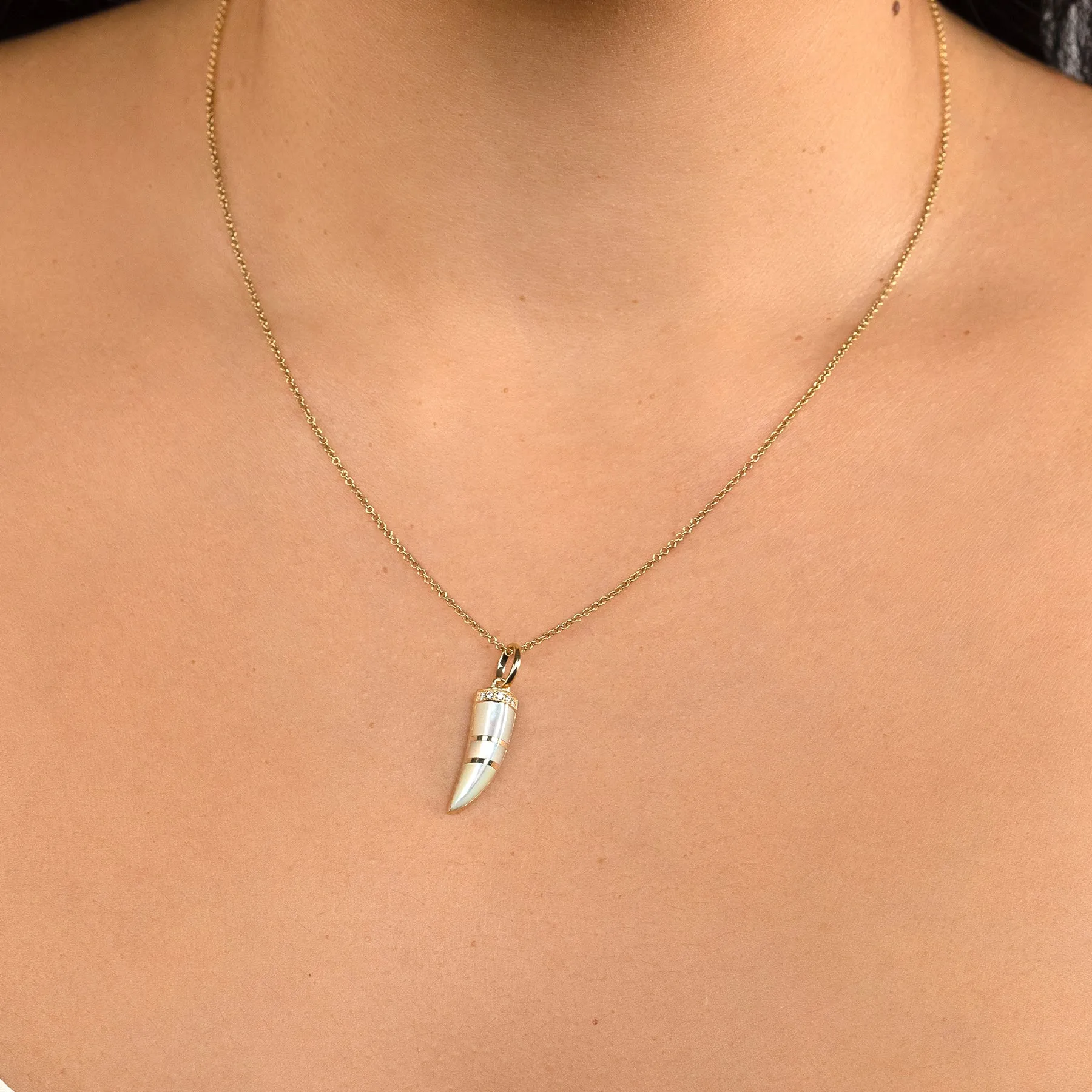 Horn Pendant - Mother of Pearl / 14k Yellow Gold