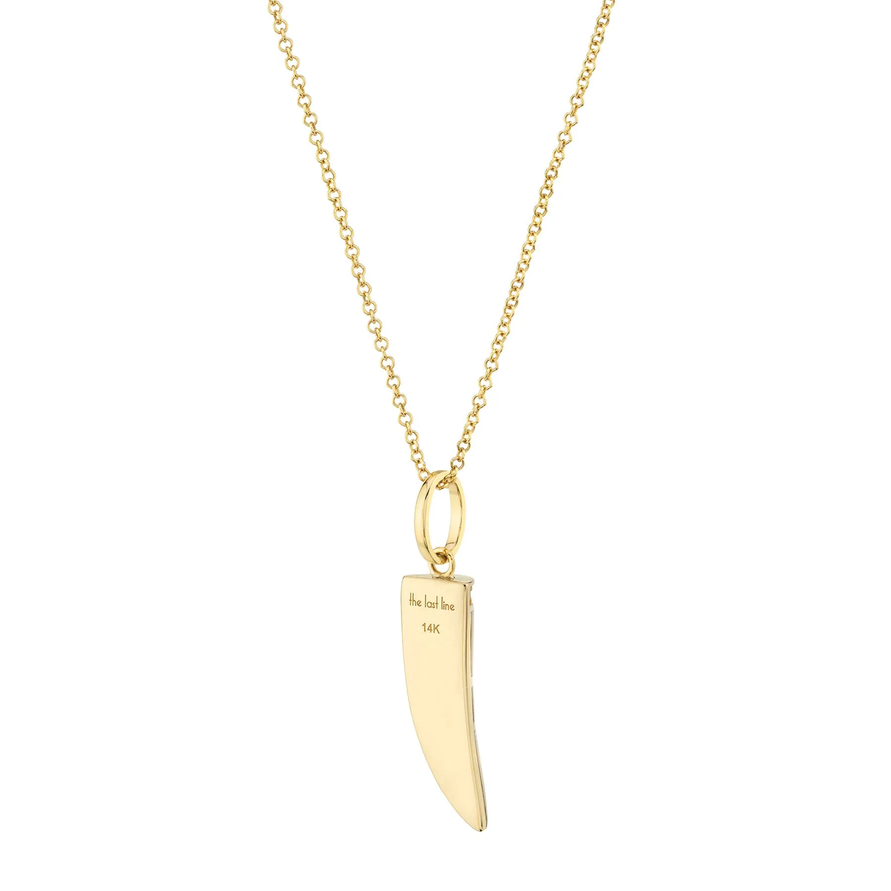 Horn Pendant - Mother of Pearl / 14k Yellow Gold